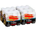 Cappy Apple Burst flavoured drink multipack